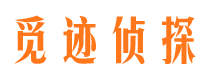 陵县市调查公司